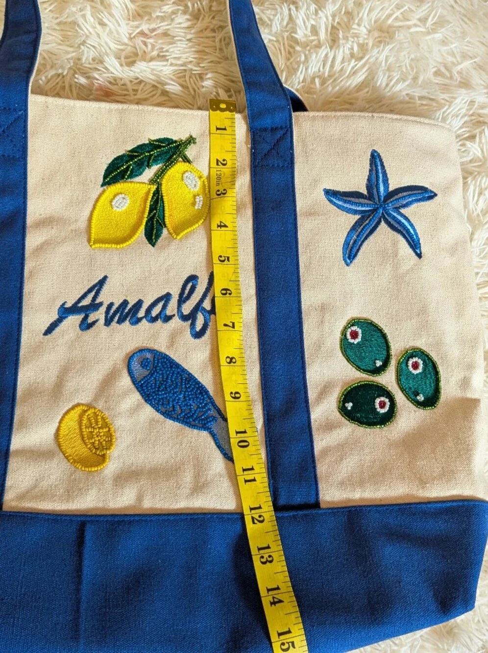 Viral NWT America & Beyond Amalfi Embroidered Canvas Tote Bag